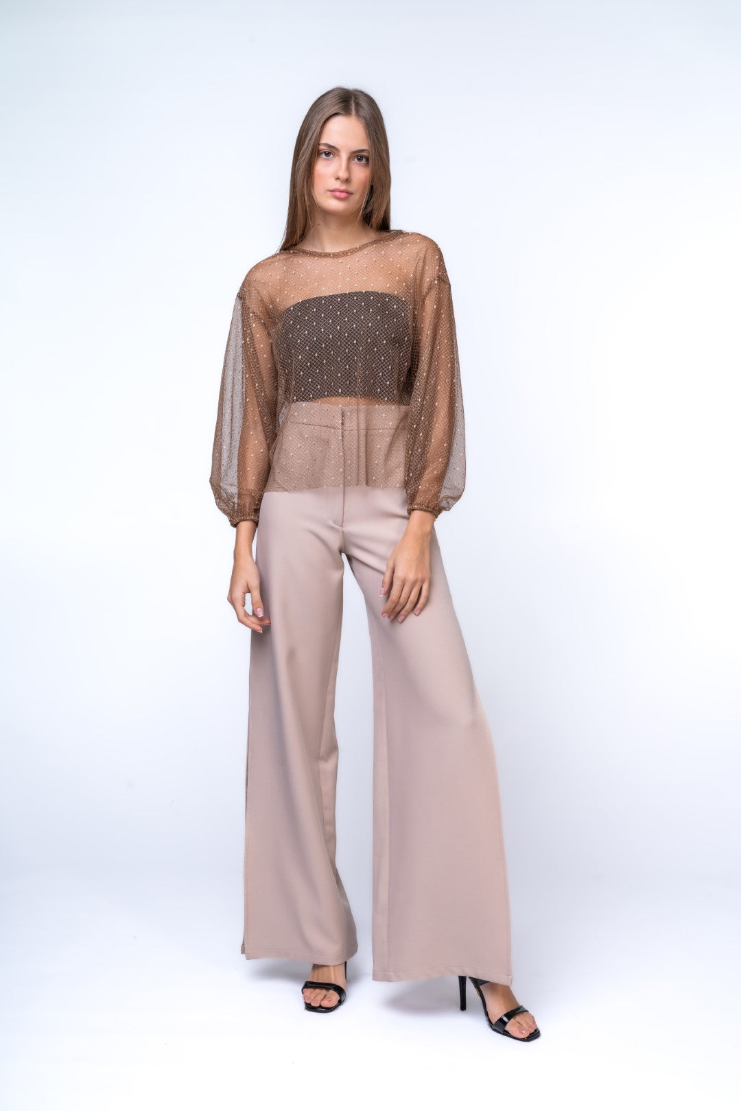 Brown Sheer Top with Voluminous Sleeves