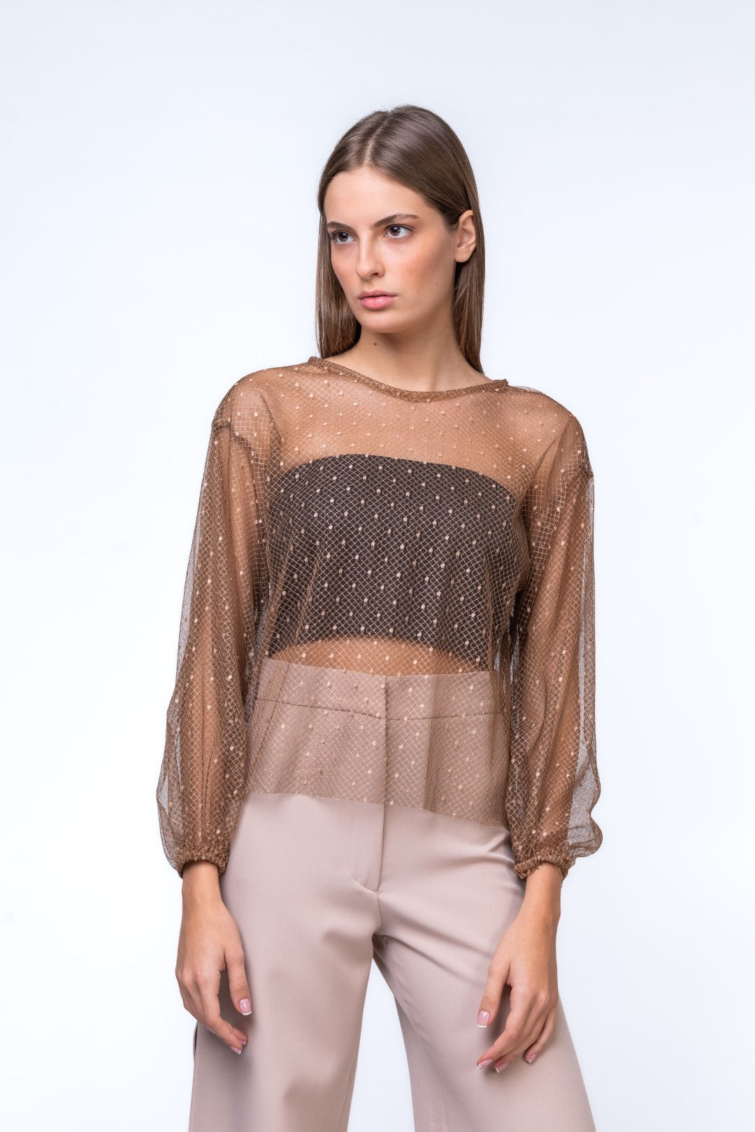 Brown Sheer Top with Voluminous Sleeves