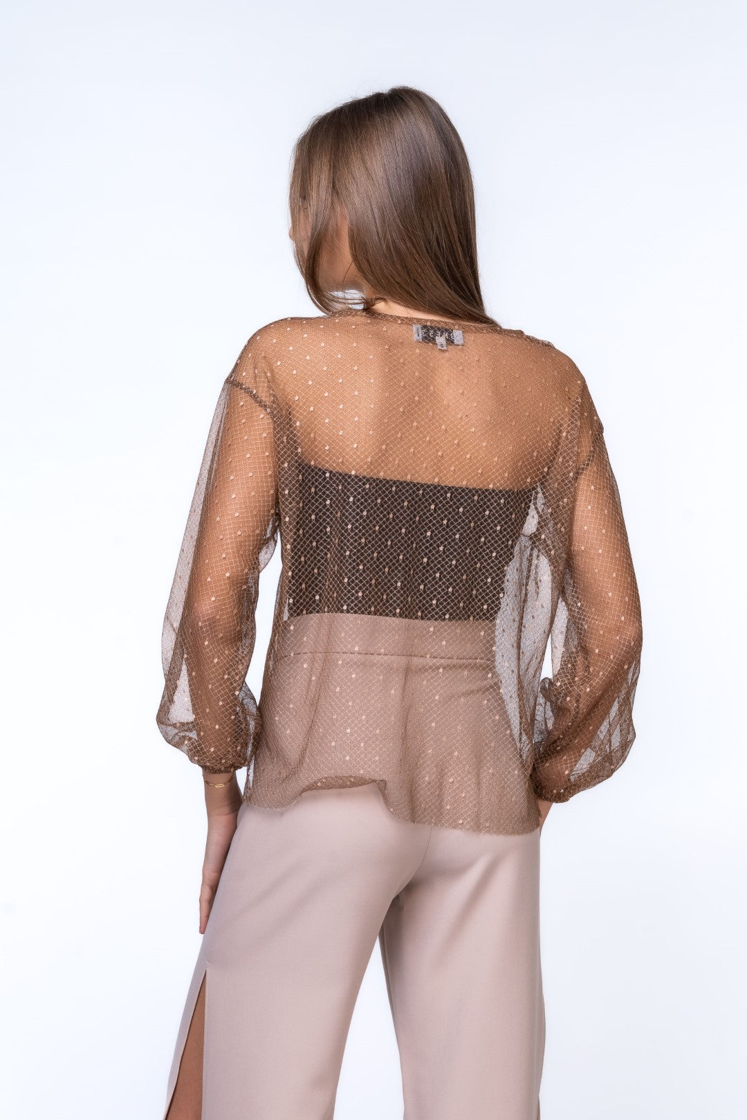 Brown Sheer Top with Voluminous Sleeves