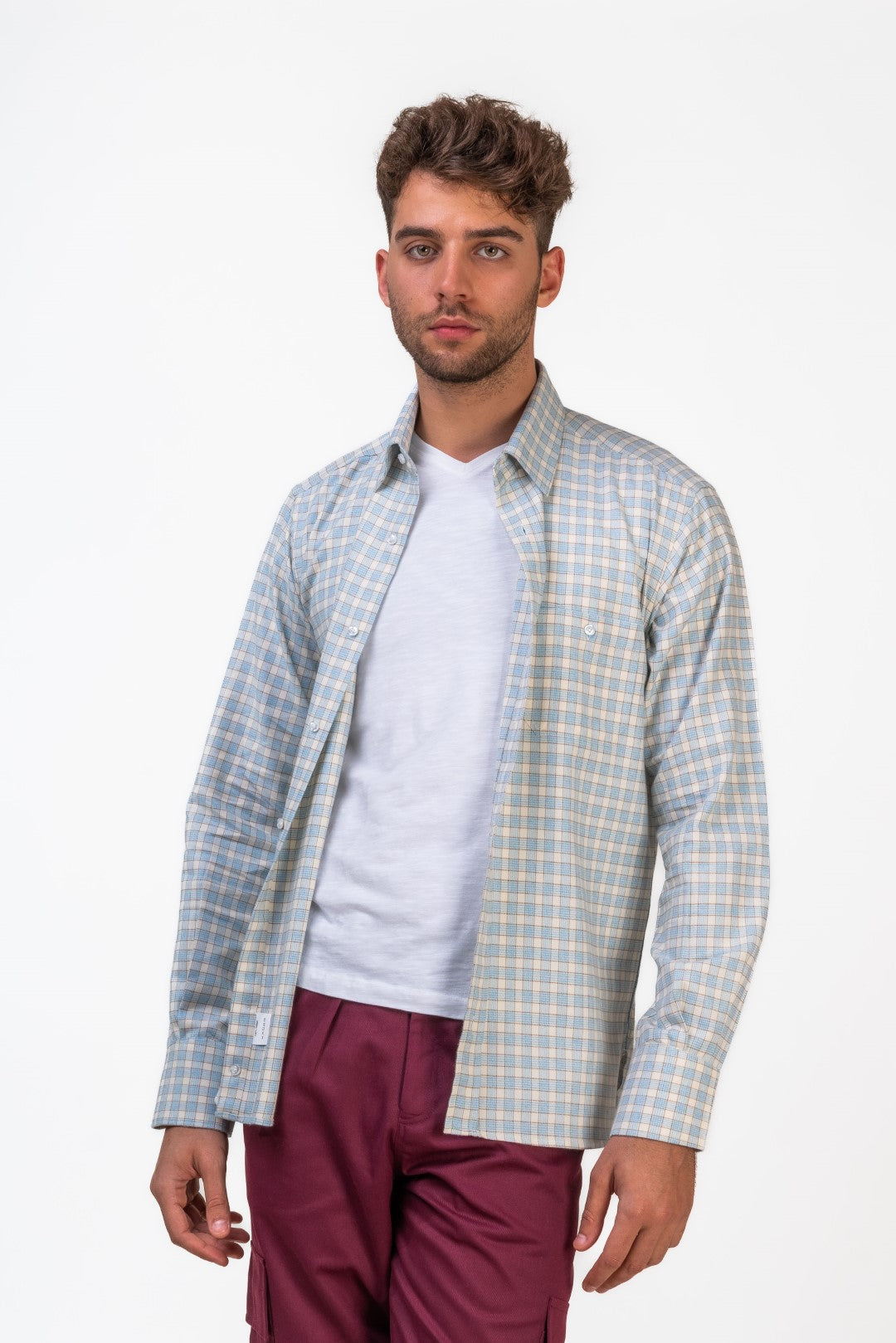 Blue Regular Fit Checked Cotton Flannel Shirt